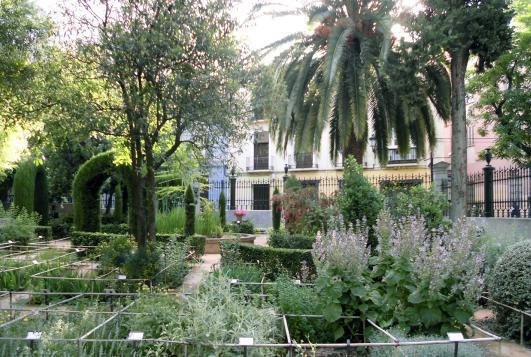 Jardín con plantas medicinales y estanque al fondo